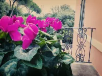 Hotel Rosalba