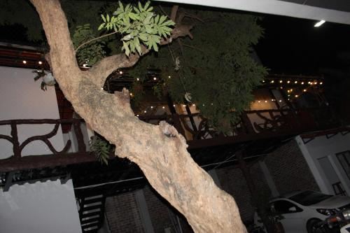 带阳台的四人房