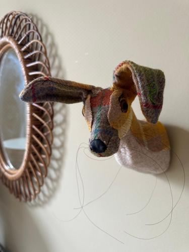 Dilkusha, Peebles Two-Bedroom Apartment