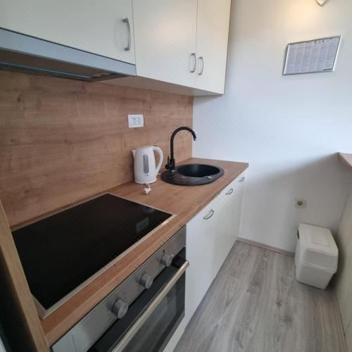 带园景一室公寓