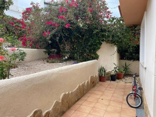 别墅（带独立泳池）