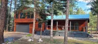 Your going to fall in love with this cabin.outstanding for family,multi families