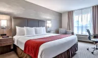 Comfort Inn & Suites Airport South