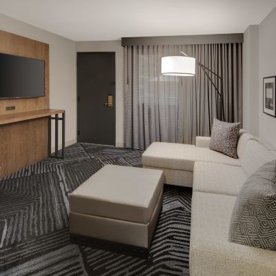 行動無障礙一卧特大床套房帶浴缸 大使套房聖拉斐爾 - 馬林縣優惠