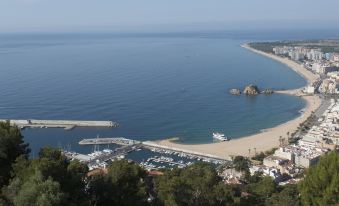a beach scene with boats docked at the shore , surrounded by trees and a body of water at Pierre & Vacances Blanes Playa