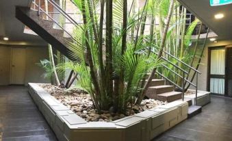 a tropical garden with a variety of plants , including palm trees , creating a lush and inviting atmosphere at Bankstown Motel 10
