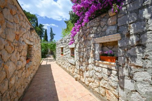 一卧室公寓 - 带露台