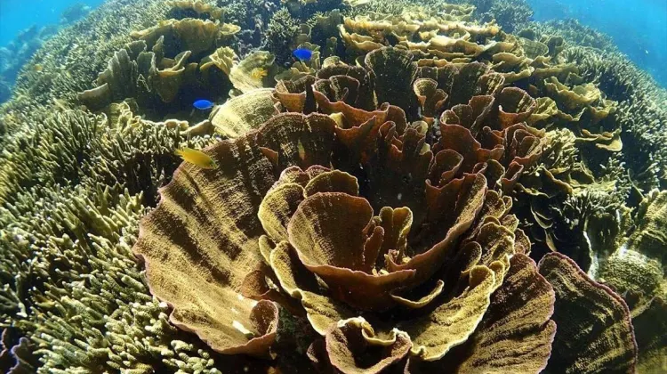 ホテル ローカス 施設