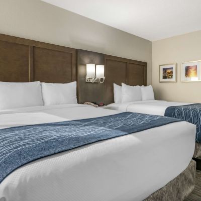 Two Queen Room Comfort Inn & Suites Downtown Brickell-Port Of Miami Promo Code