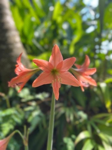 带露台的双人房