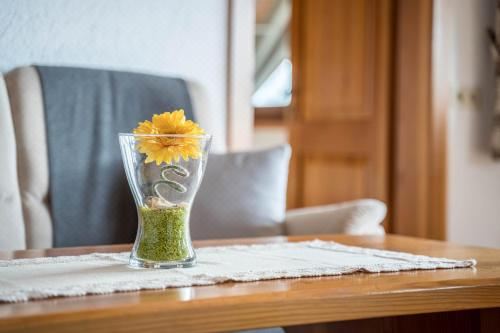 高级两卧室公寓