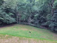 Charming home in Seven Devils. Close access to tubing, ziplining, & hiking. Hotels in Seven Devils