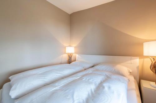 高级一卧室公寓