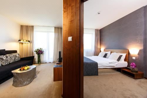 豪华一卧室公寓