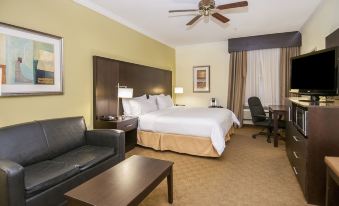 Holiday Inn Express & Suites Houston North InterContinental