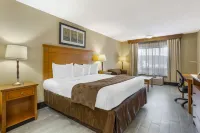 Best Western Danbury/Bethel Các khách sạn ở 