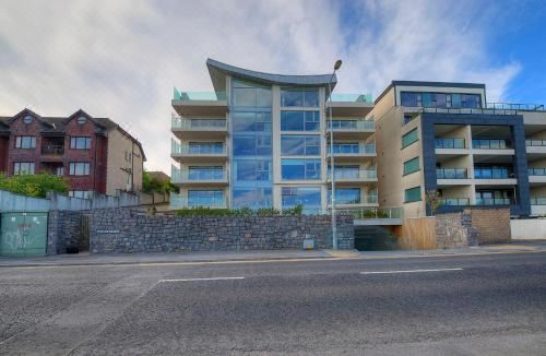 双卧室湖景公寓