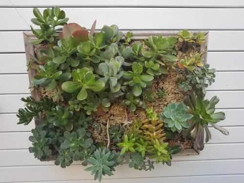 Twenty on Lake Studio Apartment