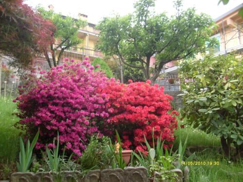 一卧室公寓 - 带露台