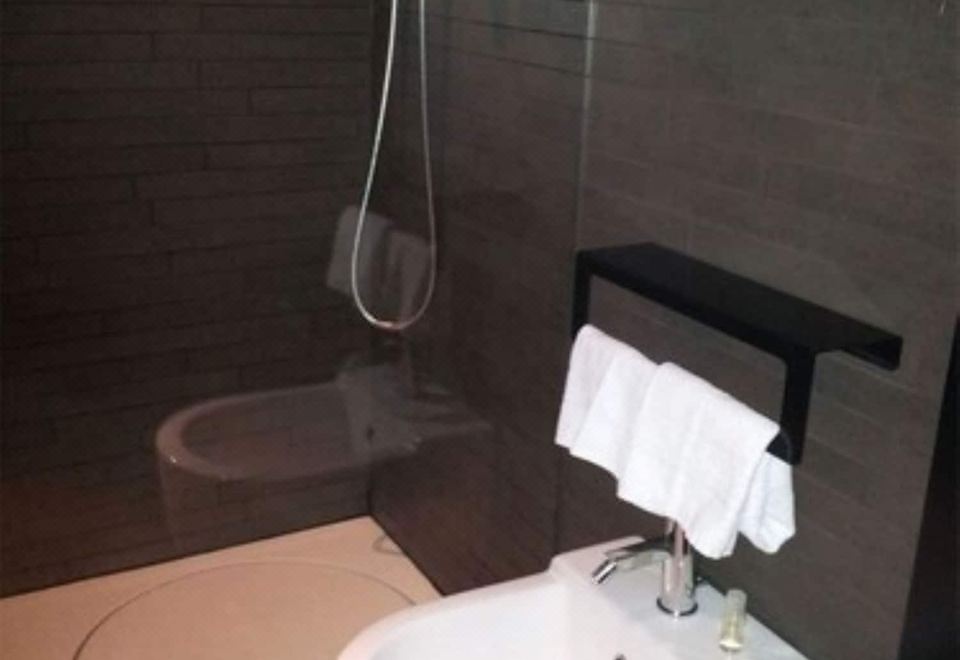 初级套房，1张大床，运河景观（大运河）