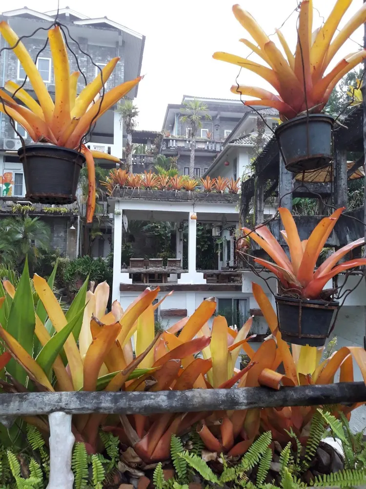 ห้องพัก(kazoo)