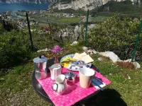 貝爾維德花園家庭旅館