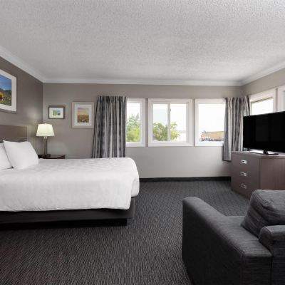1 Queen Bed, Suite, Jetted Tub, Full Kitchen, Non-Smoking Stanford Inn & Suites Promo Code