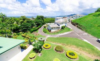 aerial view of a rural area with a house surrounded by greenery and a view of the ocean in the distance at Siesta Hotel