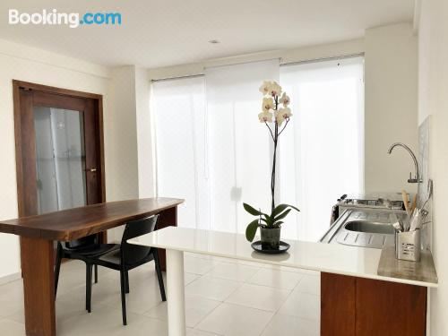 豪华公寓 - 地面