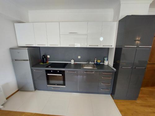 高级公寓（带桑拿浴室）