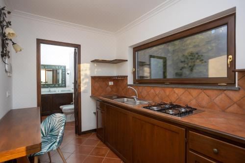 别墅（带独立泳池）