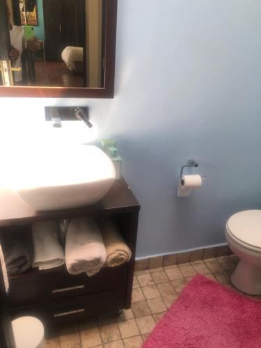 泳池景特大床套房