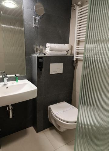 公园景双人或双床间 - 带阳台