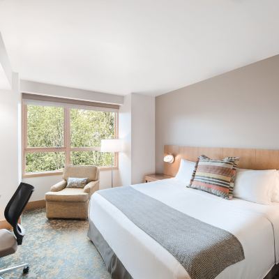 Deluxe King Room Cedarbrook Lodge Promo Code