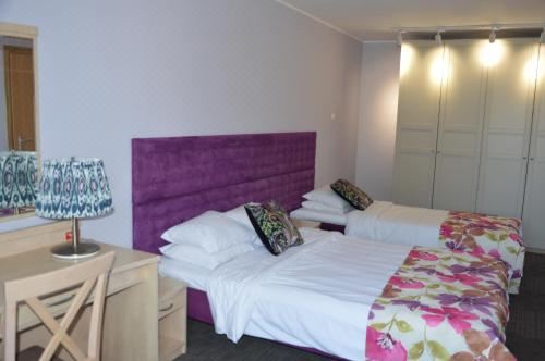 豪华一卧室公寓