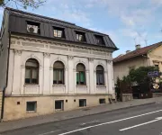 Pensiunea Vidalis Hotels in 