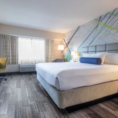 Sky Tower Deluxe Room 1 King Non-Smoking Petstay Circus Circus Reno Promo Code