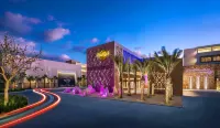 Hard Rock Hotel Los Cabos - All Inclusive