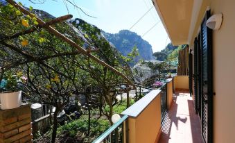 Lemon Garden - Housity