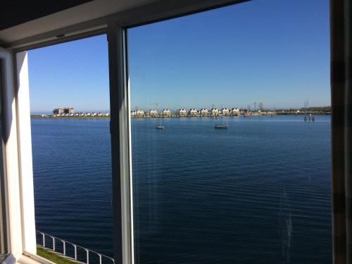 高级两卧室公寓