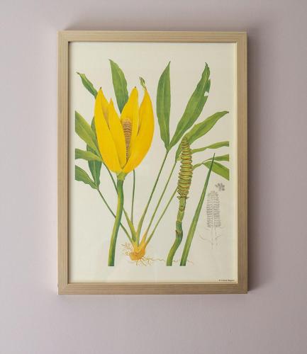 特大床双人或双床房