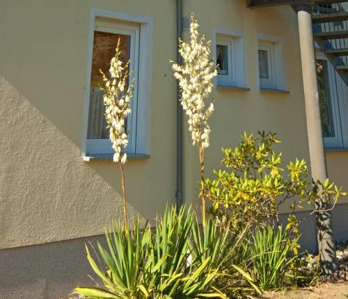 享有花园景致的公寓