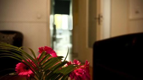 高级两卧室公寓