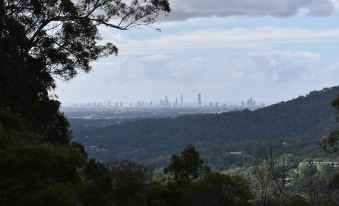 Gold Coast Tree Houses