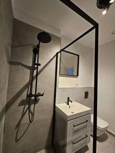 Walter Studio Sinaia One-Bedroom Apartment