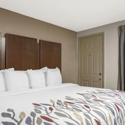Deluxe King Room-Non-Smoking Americas Best Value Inn and Suites Hope Promo Code