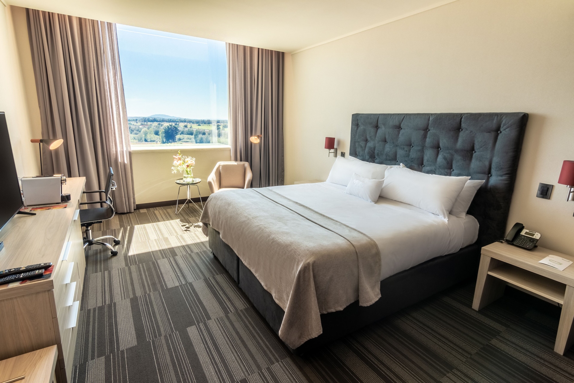 标准双人房（1张大床）