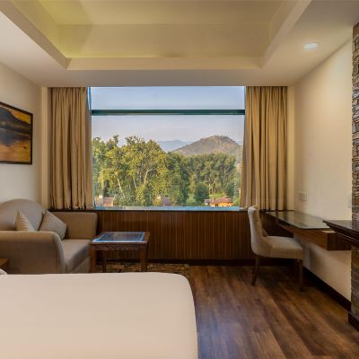 Business Class Room Radisson Srinagar Promo Code