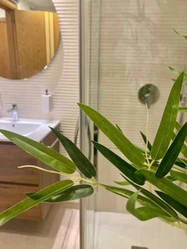 Churruca 2 One-Bedroom Apartment