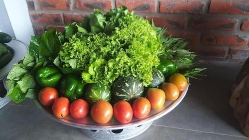 三人间 - 带露台